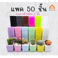 ราคา แพค 50 ชิ้น กระถางต้นไม้ กระถางแคคตัส กระถางกระบองเพชร กระถางพลาสติก ขนาด 2 นิ้ว (1729720190937958469)