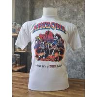 ราคา เสื้อยืดวินเทจ สอยเดี่ยว ผ้าบาง 50/50 คอฟิต สกรีนจม ไม่เย็บตะเข็บข้าง (1731387286049228751)