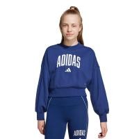 ราคา ADIDAS Seasonals Essentials Collegiate Typography เสื้อลำลองแขนยาวเด็ก