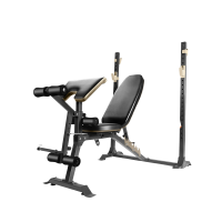 ราคา Multi Bench Rack ม้านั่งยกน้ำหนัก พร้อมแร็ควางบาร์เบล HFT รุ่น MB5 - Homefittools