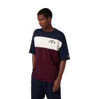ราคา CHAMPION T-SHAPE TEE เสื้อยืด 221743-BS501 ผู้ชาย MULTI