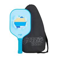 ราคา ไม้ PICKLE BALL DHS SMASH RACKET