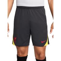 ราคา NIKE Liverpool FC Strike Third กางเกงฟุตบอลขาสั้นผู้ชาย NI083AP821ECTH