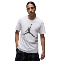 ราคา NIKE Jordan Sport Dri-FIT เสื้อยืดบาสเกตบอลผู้ชาย NI083AP315ELTH