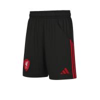ราคา ADIDAS กางเกงฟุตบอลเด็กทีมลิเวอร์พูล ชุดเยือน ฤดูกาล 2025/26 AD001AP279ENTH