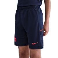 ราคา NIKE Erling Haaland Academy กางเกงฟุตบอลขาสั้นเด็ก NI083AP785ENTH