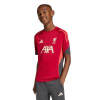 ราคา ADIDAS Liverpool FC Tiro 25 Competition Training เสื้อฟุตบอลเด็ก AD001AP685ETTH
