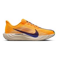 ราคา NIKE Pegasus Plus รองเท้าวิ่งผู้ชาย NI083SH845ETTH