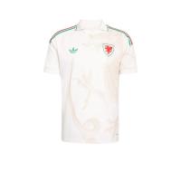 ราคา ADIDAS เสื้อแข่งผู้ชายทีมชาติเวลส์ ชุดเยือน ฤดูกาล 2026 AD001AP862EXTH