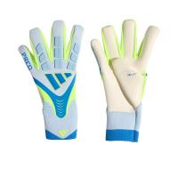 ราคา ADIDAS Predator Pro ถุงมือผู้รักษาประตูผู้ชาย AD001AC080EYTH