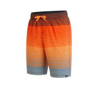 ราคา FIREFLY Lario Shaded Stripe กางเกงว่ายน้ำขาสั้นเด็กผู้ชาย FI722SP585EYTH