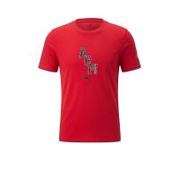 ราคา PUMA AC Milan ftblCulture เสื้อยืดฟุตบอลผู้ชาย PU097AP033EZTH