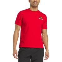 ราคา REEBOK Portugal เสื้อยืดฟุตบอลผู้ใหญ่ RE099AP231EXTH