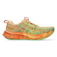 ราคา ASICS Noosa Tri 16 รองเท้าวิ่งผู้หญิง AS206SH978FATH