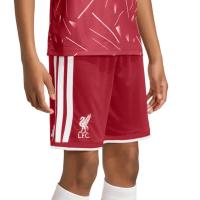 ราคา ADIDAS กางเกงฟุตบอลเด็กทีมลิเวอร์พูล ชุดเหย้า ฤดูกาล 2026/27 AD001AP319FBTH
