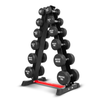 ราคา [PRE-ORDER 30 DAYS] ดัมเบล กลม หุ้มยาง IRONTEC 6 คู่ ขนาด 2.5-15KG พร้อมขาตั้ง (DB4012SET105KG)