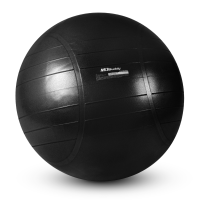 ราคา MDBuddy ลูกบอล Commercial Gym Ball ขนาด 75CM (MD1281-75MM)