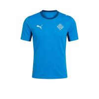 ราคา PUMA เสื้อแข่งผู้ชายทีมชาติไอซ์แลนด์ ชุดเหย้า เกรด Replica ฤดูกาล 2026 PU097AP806EUTH