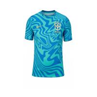 ราคา NIKE Brazil Academy Pro Pre-Match เสื้อฟุตบอลผู้ชาย NI083AP759EYTH