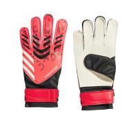 ราคา ADIDAS Predator Training ถุงมือผู้รักษาประตูผู้ชาย AD001SH432EFTH