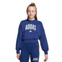 ราคา ADIDAS Seasonals Essentials Collegiate Typography เสื้อลำลองแขนยาวเด็ก AD001AP193EMTH