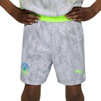 ราคา PUMA กางเกงฟุตบอลเด็กผู้ชายทีมแมนเชสเตอร์ซิตี้ ชุดที่สาม ฤดูกาล 2025/26 PU097AP102EPTH