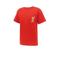 ราคา LFC Champions 24/25 Tee เสื้อยืดเด็ก LF068AP343EPTH