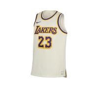 ราคา NIKE LeBron James LeBron Dri-FIT NBA เสื้อแข่งบาสเกตบอลผู้ชาย NI083AP842ETTH