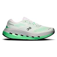 ราคา ON RUNNING Cloudrunner 3 Max รองเท้าวิ่งผู้หญิง ON497SH675FETH