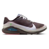 ราคา NIKE Structure 26 รองเท้าวิ่งผู้ชาย NI083SH480FFTH