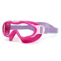 ราคา SPEEDO Biofuse หน้ากากว่ายน้ำเด็กผู้ชาย SP111AC670CITH