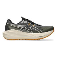 ราคา ASICS Blazeblast รองเท้าวิ่งเทรลผู้ชาย AS206SH141FFTH