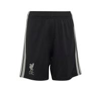 ราคา ADIDAS กางเกงฟุตบอลเด็กทีมลิเวอร์พูล ชุดที่สาม ฤดูกาล 2026/27 AD001AP308FETH