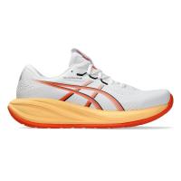 ราคา ASICS Gel-Cumulus 28 รองเท้าวิ่งผู้ชาย AS206SH338FGTH