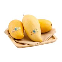 ราคา มะม่วงน้ำดอกไม้สุก (0210974)