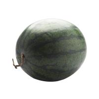 ราคา แตงโมกินรี (0218552)