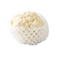 ราคา กะหล่ำดอกจีน (0213171)