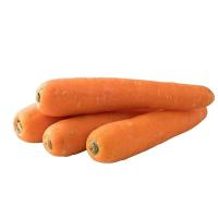 Carrot