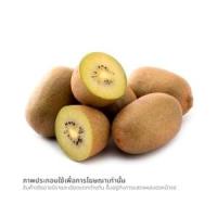 กีวีทอง แพ็ค 5