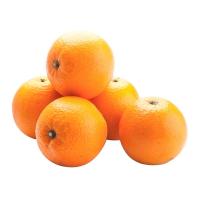 ราคา ส้มนาเวล (0213031)