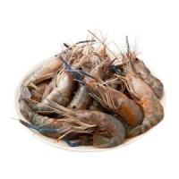 ราคา กุ้งนาง (เฉลี่ย 30-40 ตัว / กก.) (0212295)