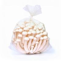 ราคา เห็ดชิเมจิขาว 150 ก. (2000005797514)