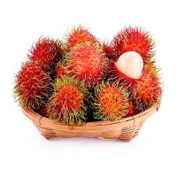 ราคา เงาะโรงเรียน กก. ละ (0219537)