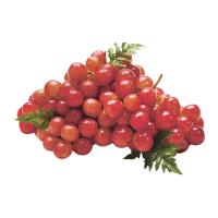 ราคา องุ่นแดงนอก (0213066)