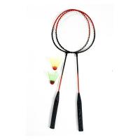 ราคา ชุดไม้แบดมินตัน พร้อมลูกขนไก่ 2 ลูก (8851918010092)