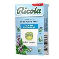 ราคา ริโคลา ลูกอมสมุนไพร ปราศจากน้ำตาล รสเฟรชมินต์ 40 ก. (7610700002308)