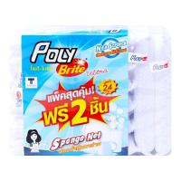 โพลี-ไบรท์ ฟองน้ำหุ้มตาข่าย แพ็ค 6+2