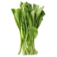 ราคา ผักกวางตุ้ง (0251598)