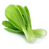 ราคา ผักกวางตุ้งไต้หวัน (0251599)