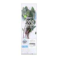 Sweet Basil